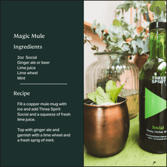Three Spirits - Social Elixir - Halal Wine Cellar