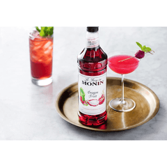 MONIN Dragonfruit Syrup (1L) - Halal Wine Cellar